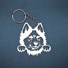 Siberian husky dog for sale  Orange City