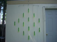 Greenchartreuse old faithful for sale  Spring