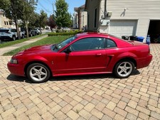 mustangs 2 for sale mustangs 2 for sale Staten Island
