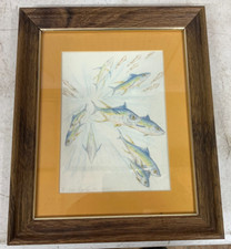 Yellowfin tuna busting for sale  Apple Valley