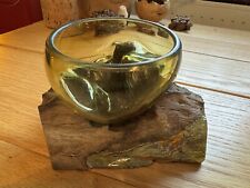 Glas schale holz gebraucht kaufen  Jengen