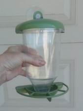 Premium window bird for sale  Sterling Heights