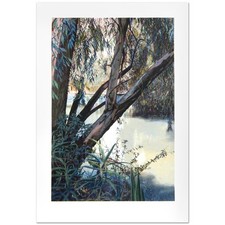 Marcus uzilevsky jordan for sale  Escondido