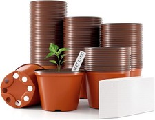 100 pcs plant for sale  Lawrence