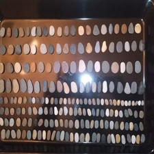 200 pebbles pebble for sale  BEXHILL-ON-SEA