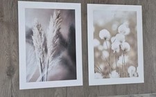 Desenio wandbilder 30x40 gebraucht kaufen  Tangermünde