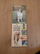 Border collie clicker for sale  SEVENOAKS