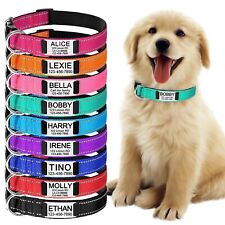 Reflective personalised dog for sale  NOTTINGHAM