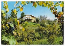 Firenze mariapoli loppiano usato  Bondeno