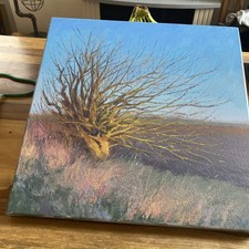 Acrilic painting original for sale  WITHERNSEA