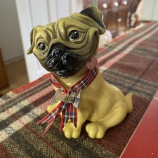 Little paws podge for sale  SHEFFIELD