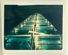 1970s row fish for sale  Carlsbad