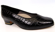 New ara graz for sale  Rocky Mount