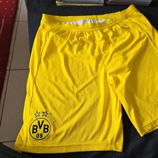 Puma bvb borussia gebraucht kaufen  Issigau