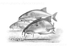 Barbel pellets art for sale  HEMEL HEMPSTEAD