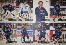 DEL Playercards 2024/2025 24/25 ERC Ingolstadt Einzelkarten zum aussuchen, usado comprar usado  Enviando para Brazil