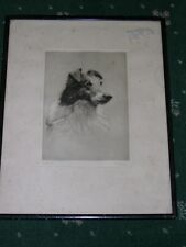 Large antique shetland for sale  WARRINGTON