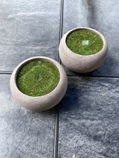 Succulent pots fake for sale  Cartersville