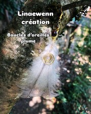 Boucles oreilles plume d'occasion  Seyssins