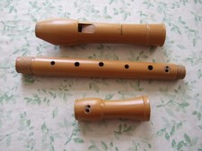 Mollenhauer canta alt gebraucht kaufen  Salzwedel