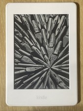 Kindle paperwhite 7th for sale  NORTHAMPTON