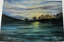 Vintage painting florida for sale  Land O Lakes