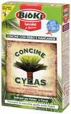 Concime cycas con usato  Roma