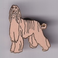 levrier afghan d'occasion levrier afghan d'occasion  Ménéac