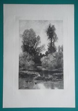 Landscape solitude brook for sale  Manassas