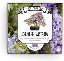 Grow bonsai kit for sale  LONDON