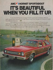 1974 amc hornet for sale  Irons