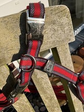 Hundegeschirr brustgeschirr au gebraucht kaufen  Ammersbek