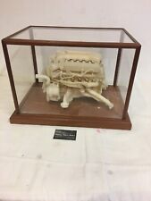 Bmw v12 engine for sale  KETTERING