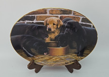Five dine nigel for sale  Nampa