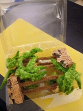 Lotto palme presepe usato Lotto palme presepe usato  Saronno