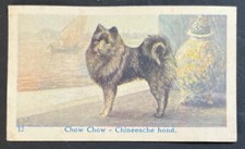 Usado, Cartão comercial de cachorro holandês muito raro CHOW CHOW 1930 De Berenkamp #12 comprar usado  Enviando para Brazil