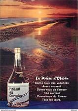 Vignes ile oléron d'occasion  Fruges