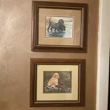Vintage black labradors for sale  Casselberry