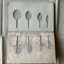 Livre elagage arbres d'occasion  Strasbourg-