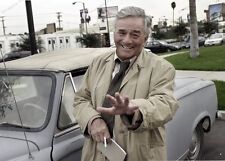 8x10 print peter for sale  Gardnerville