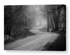 Country road 18x12 for sale  Three Mile Bay