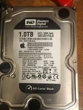 Western digital caviar usato  Roma