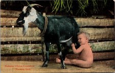 Postcard habana chiva for sale  Bourbonnais