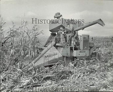 1961 press photo for sale  Memphis