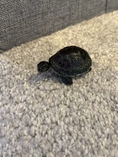 Tortoise early learning for sale  SITTINGBOURNE