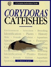 Corydoras catfishes burgess for sale  UK