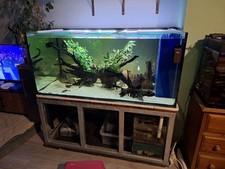 Large fish tank for sale  HAVERFORDWEST