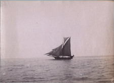 Italy sailboat water d'occasion  Expédié en Belgium