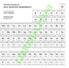 Kaufmann massimo dal usato  Italia