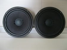 Subwoofer doppia bobina usato  San Marco Evangelista